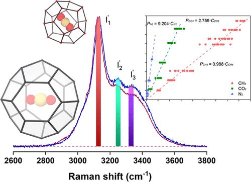 Spectral Analysis on the Raman Peaks of CH4, CO2, and N2 in the Hydrate Phase
