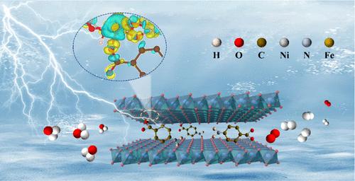 Deciphering the Radial Ligand Effect of Biomimetic Amino Acid toward Stable Alkaline Oxygen Evolution