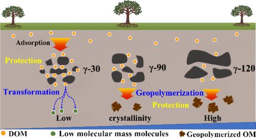 Manganese Dioxides Induce the Transformation and Protection of Dissolved Organic Matter Simultaneously: A Significance of Crystallinity