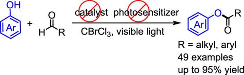 Visible-Light-Induced Synthesis of Esters via a Self-Propagating Radical Reaction