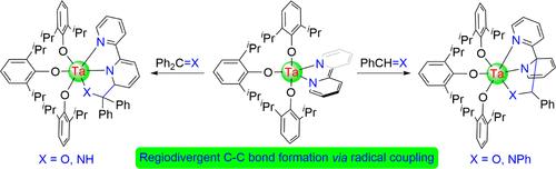 Synthesis and Reactivity of a Bipyridyl Tantalum Complex