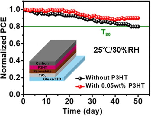 Polymer-Enhanced Active Layer Crystallization in Low-Temperature Carbon-Based Perovskite Solar Cells