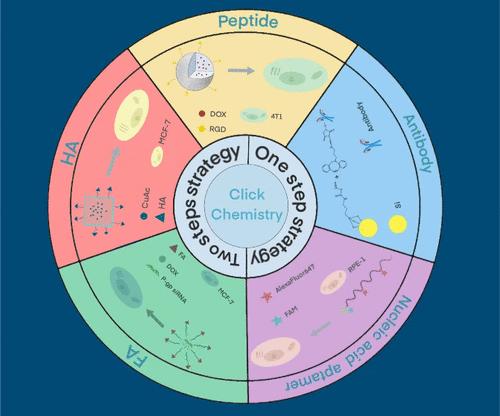 Click Chemistry-Based Nanomaterial Modification for Cancer Targeting: A Review