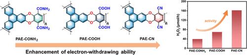Regulating Substituents in Coplanar 2D Ladder Polymers for Enhanced Photocatalytic Production of H2O2