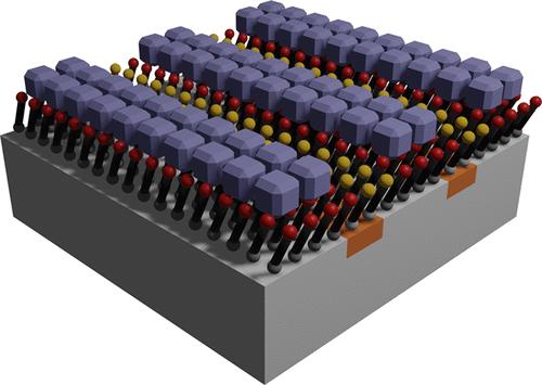 Oriented and Area-Selective Growth of Zeolitic Imidazolate Framework-8 Films by Molecular Layer Deposition