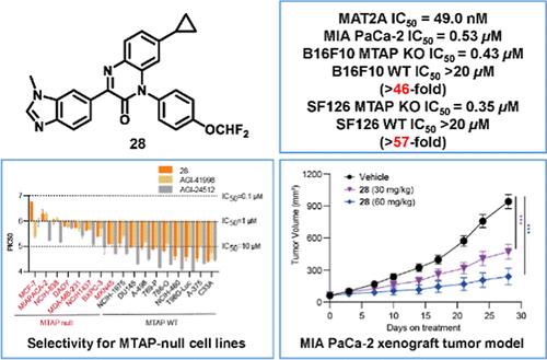 Discovery of 2(1H)-Quinoxalinone Derivatives as Potent and Selective MAT2A Inhibitors for the Treatment of MTAP-Deficient Cancers