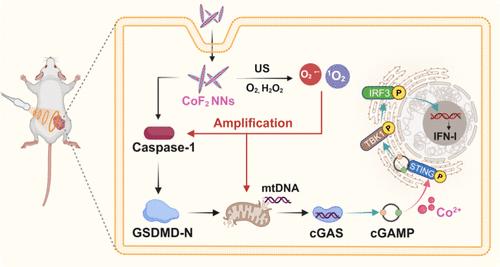 Self-Cascaded Pyroptosis-STING Initiators for Catalytic Metalloimmunotherapy