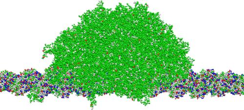 Molecular-Scale Simulation of Wetting of Actin Filaments by Protein Droplets