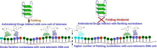 Flanking Effect on the Folding of Telomeric DNA Sequences into G-Quadruplex Induced by Antimalarial Drugs