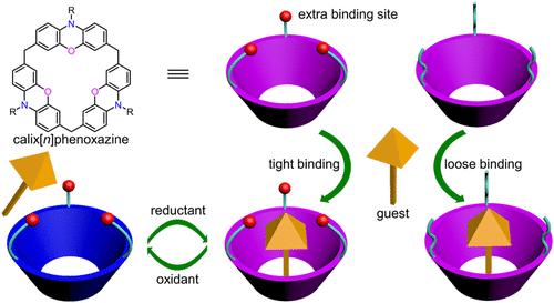 Ester-Bearing Calix[n]phenoxazines: Side Chain Enhanced Recognition and Redox-Responsive Reversible Host–Guest System