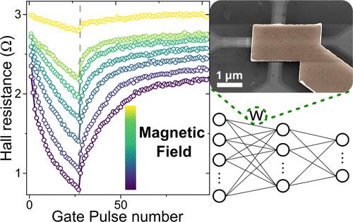Dynamic Control of Weight-Update Linearity in Magneto-Ionic Synapses