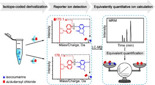 Development and Validation of a Highly Sensitive Isotope-Coded Equivalent Reporter Ion Assay for the Semi-Quantification of Isocoumarins in Complex Matrices