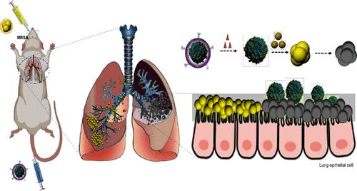 Macrophage Membrane-Coated Nanoscale Allicin for the Targeted Treatment of Drug-Resistant Bacterial Pneumonia