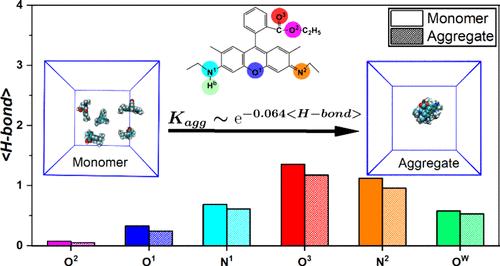Nonbonded Molecular Interaction Controls Aggregation Kinetics of Hydrophobic Molecules in Water