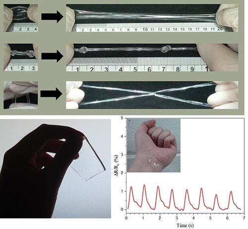 Transparent and Stretchable Conductive Hydrogel Sensors: Optimizing Ion Selection to Enhance Mechanical and Sensing Performance