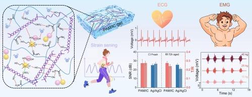 Highly ionic conductive, elastic, and biocompatible double-network composite gel for epidermal biopotential monitoring and wearable sensing