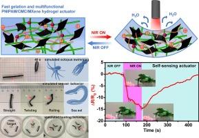 Fast fabrication of stimuli-responsive MXene-based hydrogels for high-performance actuators with simultaneous actuation and self-sensing capability