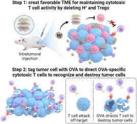Artificially tagging tumors with nano-aluminum adjuvant-tethered antigen mRNA recruits and activates antigen-specific cytotoxic T cells for enhanced cancer immunotherapy