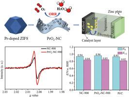 Understanding amorphous PrOx-based N-doped carbon catalyst as an efficient electrocatalyst for oxygen reduction reaction