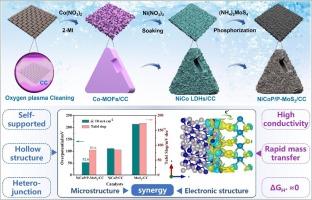 Interface engineering of hollow Janus-structured NiCoP/P-MoS2 heterojunction as self-supported electrode enables boosted alkaline hydrogen evolution reaction