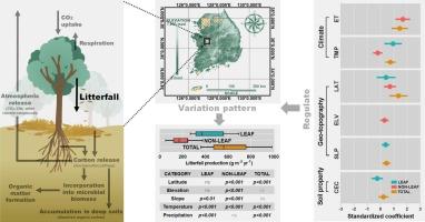 Quantifying the variation patterns and environmental controls of forest litterfall: A regional synthesis of ecological data across South Korea