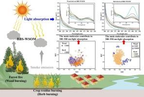 New insights into the molecular characteristics-dependent light absorption variation of water-soluble organic matter in biomass burning smoke