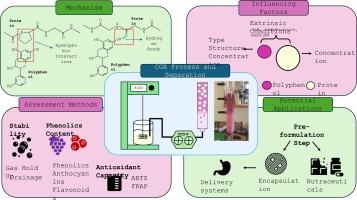 Whey protein based colloidal gas aphrons combined with solid–liquid extraction as an integrated green separation of phenolics from fruit based by-products
