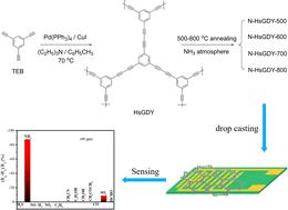 Introducing N atoms into hydrogen-substituted graphdiyne for enhanced NH3 sensing performance at room temperature†