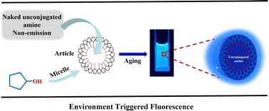 Unusual emission from non-conjugated simple amines triggered by a micelle and its influencing factors: mimicking the GFP model†