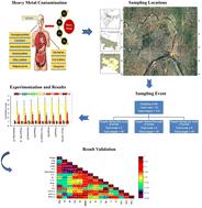 Holistic analysis of Ganga basin water quality: a statistical approach with WQI, HMCI, HMQI and HRI indices