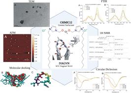 The influence of a dicationic surfactant on the aggregation process of the IVAGVN peptide derived from the human cystatin C sequence (56–61)†