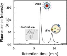 Separation of 100 nm-sized nanoparticles using a poly-Lys-modified monolith column†