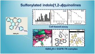 Identification of sulfonylated indolo[1,2-a]quinolines as EGFR tyrosine kinase inhibitors†