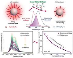 A novel upconversion nanoprobe-based approach for microalgae concentration determination†