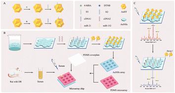 Competitive recognition strategy based on a gold nano-hexagons microarray chip for simultaneous high-sensitivity detection of diabetic retinopathy-associated miR-21 and miR-152†