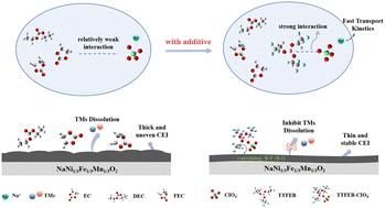 Stabilizing the cathode–electrolyte interphase and enhancing Na+ kinetics by a boron-based anion receptor additive†