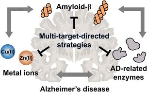 Multi-target-directed therapeutic strategies for Alzheimer's disease: controlling amyloid-β aggregation, metal ion homeostasis, and enzyme inhibition