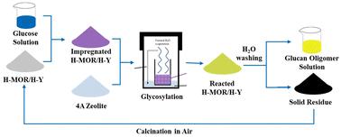 Confined synthesis of glucan oligomers from glucose in zeolites†