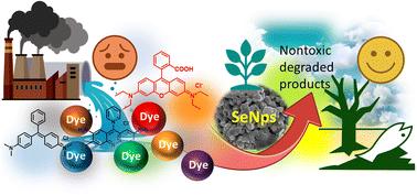 Selenium-based nanomaterials: green and conventional synthesis methods, applications, and advances in dye degradation