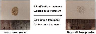 Effect of oxalic acid treatment on the oxidation efficiency of maize stover cellulose and controllable preparation of nanocellulose†