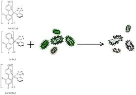 Tetrazolium iridium complexes as potential antibacterial agents
