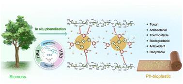 Preparation of tough, antioxidant and antibacterial bioplastic for sustainable packaging through an in situ phenolization strategy†