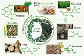 Towards developing fully sustainable elastomers: the role of chemistry