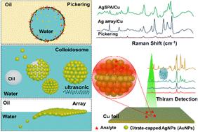 Hierarchical structures of surface-accessible plasmonic gold and silver nanoparticles for SERS detection†