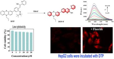 A novel fluorescent probe for rapid and selective detection of fluoride ions in living cells†