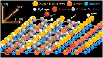 Catalytic effects of iron adatoms in poly(para-phenylene) synthesis on rutile TiO2(110)†