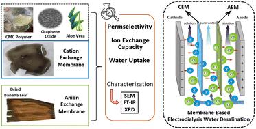 Advancing bio-filter materials for enhanced desalination in agricultural applications†
