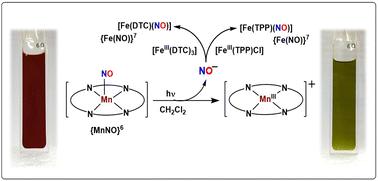 Photo-induced nitroxyl anion/HNO release from a nitrosyl complex of Mn(ii)–porphyrinate†