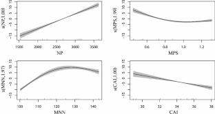 A decade-long spatial analysis of opportunistic rice cultivation in a water-stressed agricultural landscape