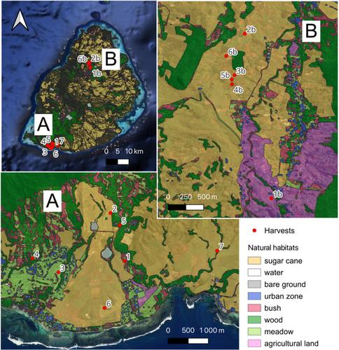 Effects of the Trophic Ecology of Exotic Game Birds on Mascarenes Biodiversity: The Case of Francolinus pondicerianus in Mauritius
